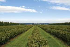 Assistant Farm Manager