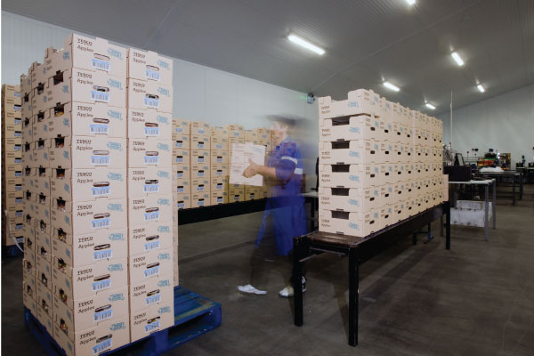 storage-600x400