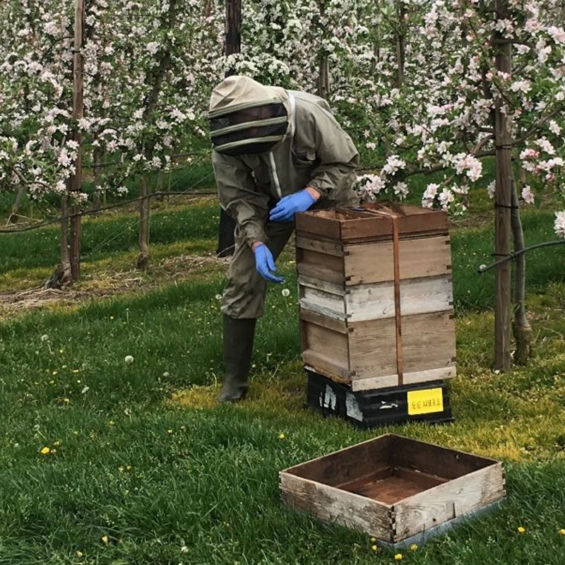 Bee keeping