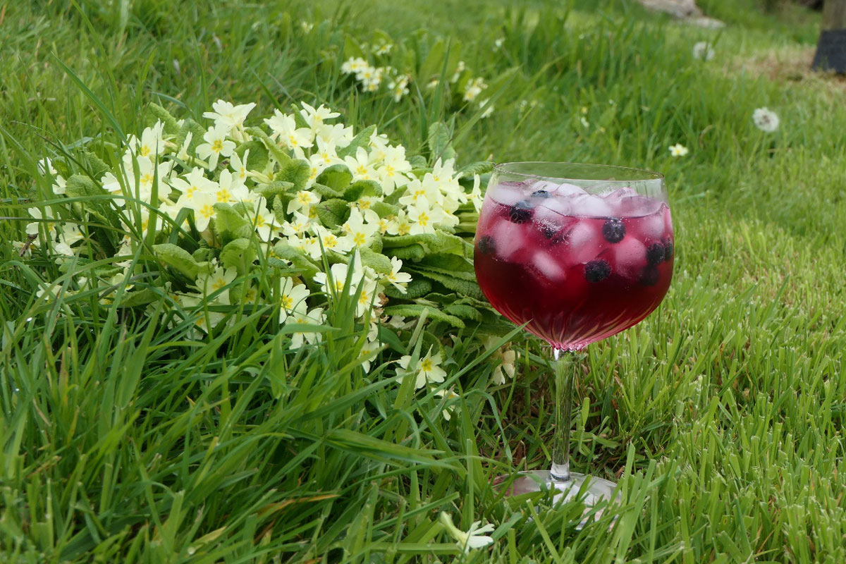 Blackcurrants