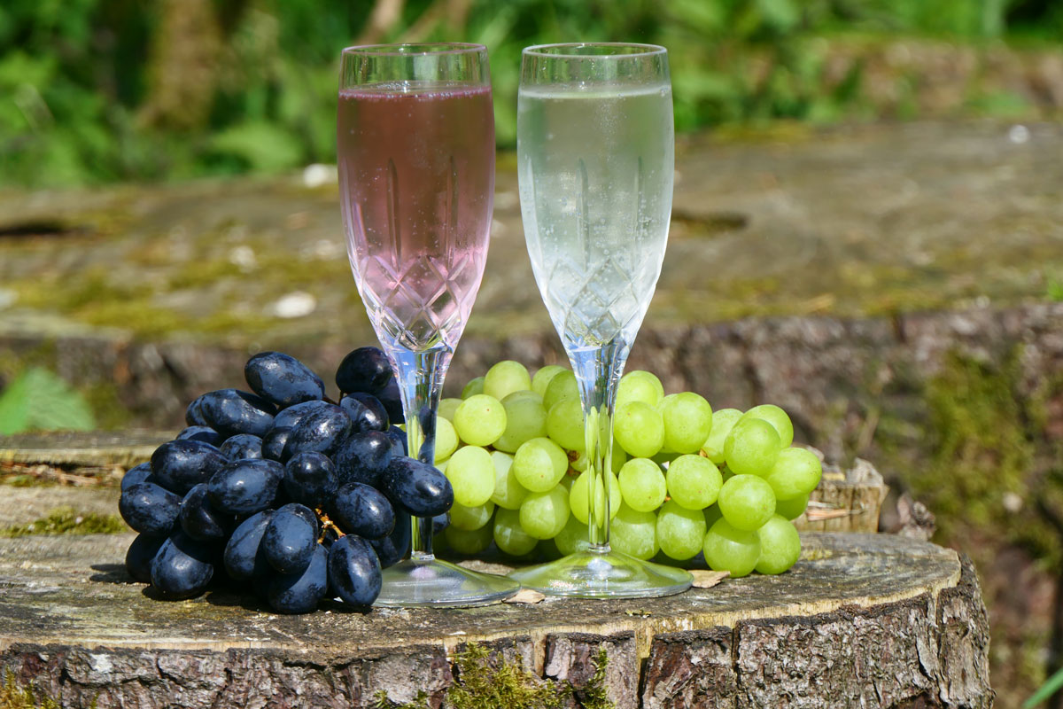 Grapes and wine